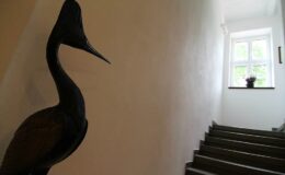 1800276_10202694661081420_69312341_n